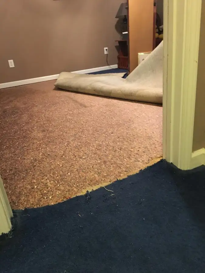 Carpet pad removal revealing water damage during Water Mitigation Services in University Heights