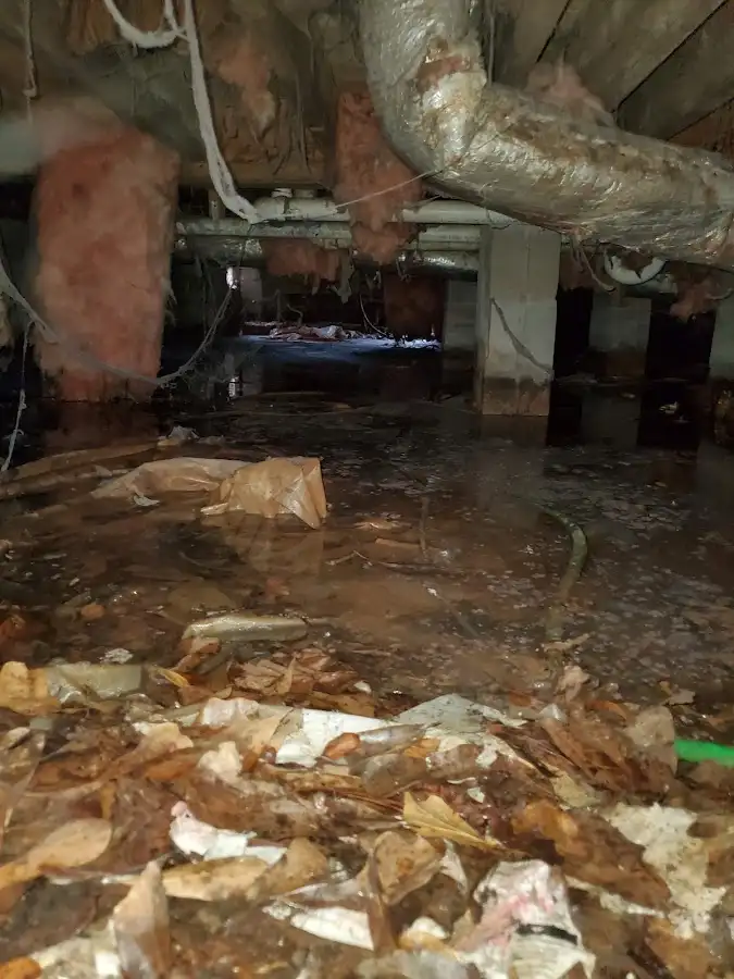 Crawl space flood assessment for Leak Detection & Repair in University Heights